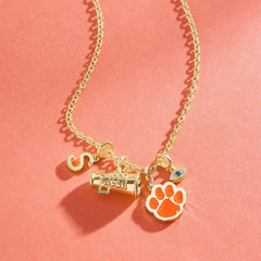 Clemson University Cluster Charm - Clemson University