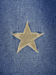 Star Embroidered Flare Jeans