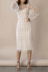 Celebrities Elegant Solid Embroidered See-Through O Neck Bandage Dress Dresses