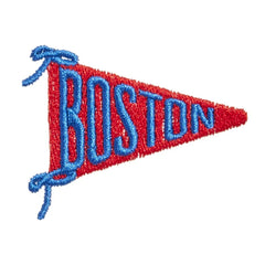 Boston Flag Icon