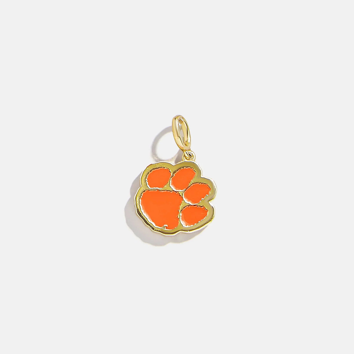 Clemson University Cluster Charm - Clemson University
