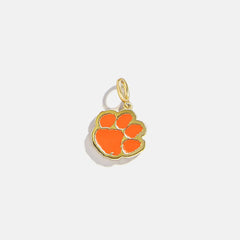 Clemson University Cluster Charm - Clemson University