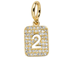 Block Pavé Number Cluster Charm - 2